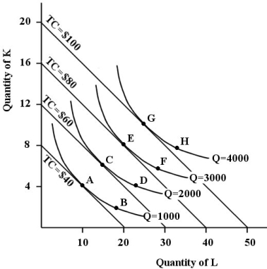 The figure below shows the isocost lines and the isoquant map for a firm producing golf tees.    FIGURE 8- 6 -Refer to Figure 8- 6.At each of points A,C,E and G on the isoquant map we know that A) the ratio of the marginal utilities of capital and labour is equal to the ratio of the prices of capital and labour. B) the firm is at its cost- minimizing position for an output level of 4000 golf tees. C) the firm can adjust its employment of factors to reduce its total cost,with output unchanged. D) the firm has adjusted the factor prices to equate the ratio of marginal products of the factors. E) the ratio of the marginal products of capital and labour is equal to the ratio of the prices of capital and labour.