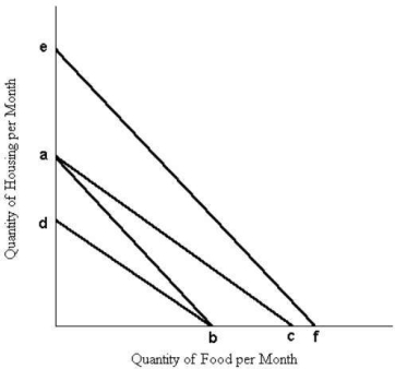 The diagram below shows a set of budget lines facing a household.    FIGURE 6- 8 -Refer to Figure 6- 8.The movement of the budget line from ab to ef could be caused by A) a decrease in money income. B) an equal percentage increase in the price of both food and housing. C) a decrease in the price of either food or housing. D) an equal percentage decrease in the price of both food and housing. E) an increase in the price of either food or housing.