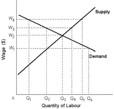 FIGURE 14- 5   -Refer to Figure 14- 5.Suppose this labour market is perfectly competitive.If a minimum wage of W1 is then imposed,the quantity of labour hired would be A) Q1. B) Q2. C) Q3. D) Q4. E) Q5.