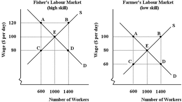 Suppose an island economy has only two labour markets - fishing (high skill) and farming (low skill) .There are 1000 males and 1000 females in the labour force.There is an equal distribution of skilled and non- skilled workers among each sex.    -A legislated minimum wage is said to be binding when A) it decreases the turnover rate among employees. B) an industry is poorly organized and composed largely of unskilled labour. C) it raises wage rates in an industry above the free- market equilibrium level. D) it is enforced by legal authorities. E) it is below an industry's free- market equilibrium wage.