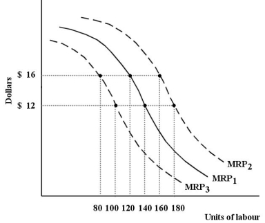 The diagram below shows the MRP curve for a firm producing copper plumbing pipe.The factor of production being considered here is hours of labour.   FIGURE 13-1 -Refer to Figure 13-1.This firm's MRP curve is the firm's A) derived demand for copper plumbing pipe. B) demand curve for labour. C) market demand curve for copper plumbing pipe. D) marginal product of labour curve. E) total product curve for labour.