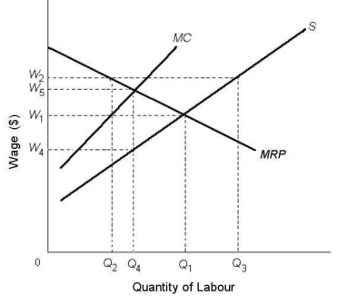   FIGURE 14-2 -Refer to Figure 14-2.Suppose the labour market is perfectly competitive.If a minimum wage of W<sub>5</sub> were then established,the predicted effect would be which one of the following? A) Q<sub>2</sub> workers would be employed and unemployment would equal Q<sub>2</sub>Q<sub>3</sub>. B) Employment would fall by the amount Q<sub>1</sub>Q<sub>4</sub>. C) Employment would remain the same as in a competitive market. D) Q<sub>3</sub> workers would now be employed. E) Q<sub>4</sub> workers would be employed and there would be no unemployment.