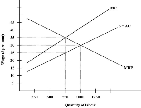 The diagram below shows the supply and demand for labour in a hypothetical town in northern British Columbia,with only one employer,a logging company.   FIGURE 14-4 -Refer to Figure 14-4.Suppose this labour market is in a monopsonistic equilibrium.Then,suppose the provincial government of British Columbia imposes a minimum wage for employees in this industry of $30 per hour.What will be the effects on wages and employment? A) wages will fall by $5 per hour and employment will increase by 250 units of labour B) wages will not change and employment will increase by 250 units of labour C) wages will rise by $5 per hour and employment will increase by 250 units of labour D) wages will not change and employment will change by between 0 and 250 units of labour E) wages will not change and employment will not change