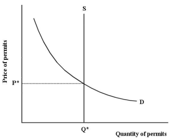 The diagram below shows a market for tradable pollution permits.   FIGURE 17-8 -Refer to Figure 17-8,which depicts a market for tradable pollution permits.Improvements in firms' abatement technology will be expected to A) shift the supply curve to the right. B) shift the supply curve to the left. C) shift the demand curve to the right. D) shift the demand curve to the left. E) not have any impact on the equilibrium.