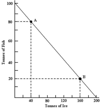 The figure below shows Arcticland's annual production possibilities boundary for the production of fish and ice.   FIGURE 32-4 -Refer to Figure 32-4.Suppose a trading partner offers to give Arcticland ice in exchange for its fish.If Arcticland is to improve its consumption possibilities from this trade,the terms of trade must be 1 tonne of ice for: A) 3 tonnes of fish. B) 2 tonnes of fish. C) 1 tonne of fish. D) 0.5 tonne of fish. E) 0.33 tonne of fish.