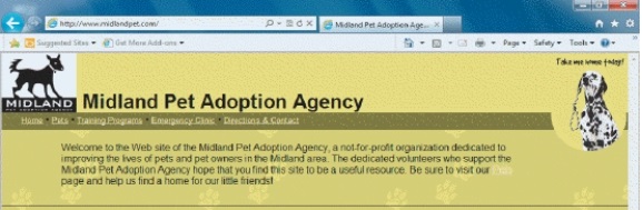  -In the figure above, the URL is Midland Pet Adoption Agency.