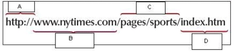   -In the figure above, the domain name is noted by letter ____. A)  A B)  B C)  C D)  D