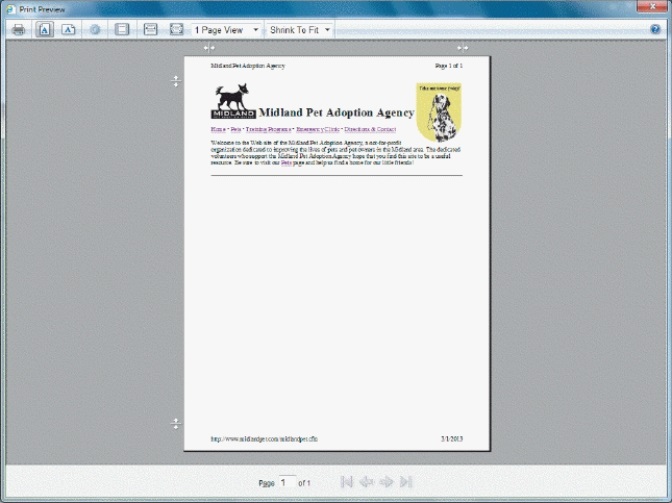 Amanda is learning her way around the Print Preview window in Internet Explorer. Please refer to the image below as you answer her questions.   -Amanda notices the printer icon on the menu bar. If she clicks this icon ____. A)  the page immediately prints B)  the Print dialog box opens C)  she returns to the document she was working on D)  the preview of the document is enlarged for better viewing.