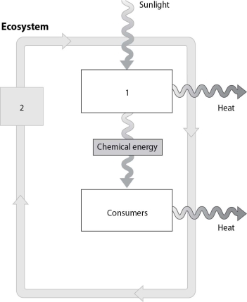 The box numbered 2 represents which of the following?   A) the cycling of energy B) decomposers acting on all parts of the system C) the cycling of matter D) gases in the atmosphere that can block sunlight