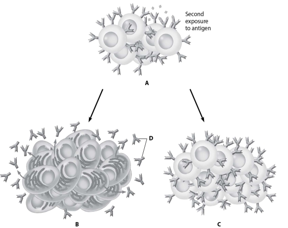 Which part of this figure shows a clone of memory cells?   A) part A B) part B C) part C D) part D