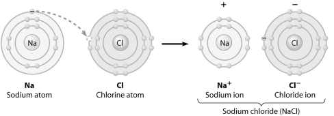 What change is occurring in this figure?   A) Chlorine is losing an electron. B) Sodium is becoming negatively charged. C) Sodium is filling its third electron shell. D) Chlorine is filling its third electron shell.