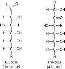 These two molecules are structural isomers. What is the difference between them?   A) the number of carbon atoms B) the number of hydrogen atoms C) the location of a double-bonded oxygen atom D) Only one of them has a double bond between carbon atoms.