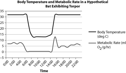 After reading the paragraph below, answer the questions that follow. Most bats are inactive during the day (this is known as torpor)  and feed during the night. The graph below shows hypothetical data for a bat species.    -Based on this graph, what is the relationship between metabolic rate and body temperature? A) When metabolic rate drops, so does body temperature. B) When metabolic rate drops, body temperature rises. C) When metabolic rate drops, body temperature remains constant. D) There is no relationship between metabolic rate and body temperature.