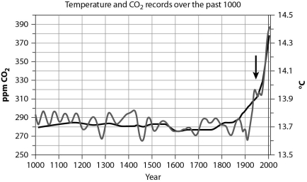 After reading the paragraph below, answer the questions that follow. The graph below shows records of temperature (light gray line)  and CO₂ (dark gray line)  over the past 1,000 years. CO₂ is recorded in parts per million (ppm) .    -If the trends shown in the graph continue, how might this affect photosynthesis? A) Photorespiration may increase, leading to an increase in photosynthetic production of sugar. B) Photorespiration may increase, leading to a decrease in photosynthetic production of sugar. C) C₄ and CAM plants would be unable to photosynthesize. D) There would be no effect on photosynthesis, since CO₂ and temperature are stable.