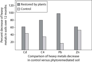 Plants are sometimes used for phytoremediation in areas where the soil has been contaminated with heavy metals. Suppose the Acme Remediation Company is proposing to remediate a contaminated area that you wish to restore. Acme presents you with the following data as evidence of their company's ability to remediate soil.    -Which of the following is a question you should ask Acme about conclusions to be drawn from these data? A) What unit of measurement was used to determine how much metal was in the soil? B) What species of plants did you use for your remediation? C) Since even the control plots lost metals, do I really need to remediate? D) Since lead (Pb) is not a micronutrient for plants, how do the plants remove it?