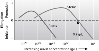   -Which of the following statements is supported by this figure? A) The greater the concentration of auxin, the more promotion of root elongation occurs. B) Auxin concentrations below 10⁻⁸ g/L promote both root and stem elongation. C) Auxin concentrations around 10⁻⁴ g/L promote stem elongation but inhibit root elongation. D) Auxin concentrations above 0.9 g/L are best for promoting stem elongation.