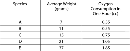 <strong>After reading the paragraphs below, answer the questions that follow. Many amphibians (including many frogs, toads, and salamanders) spend the early part of their lives in water but live on land as adults. The adults of many species return to water to breed and lay their eggs. Frogs have small lungs and supplement their oxygen intake by breathing through the skin. Although large frogs have more total surface area than smaller frogs, the larger frogs have a lower surface area/volume ratio (less skin surface relative to their total body volume). To keep their respiratory surfaces moist, frogs are generally found in wet or very moist locations. In an experiment designed to investigate oxygen consumption in relation to body size, frogs from five different species were weighed and placed in a respirometer (a machine that measures oxygen consumption) for 1 hour. The table shows the results of the experiment.   From the data in the table, it is reasonable to conclude that</strong> A)smaller frogs consume less oxygen per gram of body weight. B)each tested species consumes a different amount of oxygen per gram of body weight. C)oxygen consumption per gram of body weight is the same for all tested species. D)oxygen consumption per gram of body weight for the largest species is much higher than that for the smallest species. <div style=padding-top: 35px> 