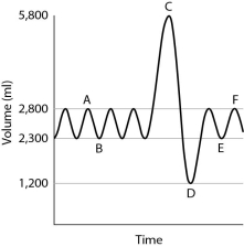 After reading the paragraphs below, answer the questions that follow. Physicians routinely give their patients pulmonary function tests in order to measure characteristics of lung function. The most common of these tests, spirometry, measures both the volume and the speed of air entering and exiting the lungs. In this test, a person first breathes normally while breathing into a spirometer, a machine that measures air volume and air speed. Then the person takes the deepest breath possible and exhales as hard as possible for 6 seconds into the spirometer. The resulting data are plotted on a graph of volume (y axis)  versus time (x axis) . Spirometry is useful not only for assessing lung function in healthy patients but also for characterizing patients with lung conditions such as pulmonary fibrosis, asthma, or emphysema. A sample graph for a healthy adult male is shown below. Normal breathing occurs between points A and B, a maximal inhalation occurs at point C, and a maximal exhalation occurs at point D. Normal breathing resumes between points E and F.    -For this data set, what is the residual volume? A) 500 mL B) 1,200 mL C) 2,300 mL D) 2,800 mL