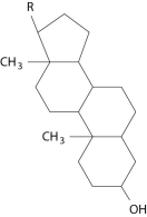 Which of these molecules would be soluble in water? A)   B)   C)   D)   E)   