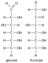   -The figure above shows the structures of glucose and fructose. These two molecules differ in the A)  number of carbon, hydrogen, and oxygen atoms. B)  types of carbon, hydrogen, and oxygen atoms. C)  arrangement of carbon, hydrogen, and oxygen atoms. D)  number of oxygen atoms joined to carbon atoms by double covalent bonds. E)  number of carbon, hydrogen, and oxygen atoms; the types of carbon, hydrogen, and oxygen atoms; and the arrangement of carbon, hydrogen, and oxygen atoms. 