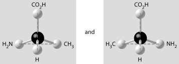 -Which of the Pairs of Molecular Structures Shown Below Depict | Biology+