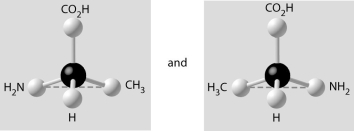   -Which pair of molecules shown below are not enantiomers of a single molecule? A)   B)   C)   D)   E)   