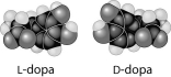   -Thalidomide and L-dopa, shown below, are examples of pharmaceutical drugs that occur as enantiomers, or molecules that   A)  have identical three-dimensional shapes. B)  are mirror images of one another. C)  are structural isomers. D)  are mirror images of one another and have the same biological activity. E)  are cis-trans isomers. 