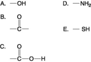   -Which of the groups shown above is a functional group that helps stabilize proteins by forming covalent cross-links within or between protein molecules? A)  A B)  B C)  C D)  D E)  E 