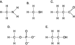   -Which molecules shown above will form hydrogen bonds with water? A)  Only D will form hydrogen bonds with water. B)  All of these molecules will form hydrogen bonds with water. C)  None of these molecules will form hydrogen bonds with water. D)  All of these molecules except B will form hydrogen bonds with water. E)  Only C, D, and E will form hydrogen bonds with water. 