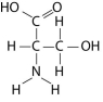 Which functional group is not present in this molecule?   A)  carboxyl B)  sulfhydryl C)  hydroxyl D)  amino 
