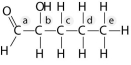 Answer the following questions based on the figure below.    -Identify the asymmetric carbon in this molecule. A)  A B)  B C)  C D)  D E)  E 