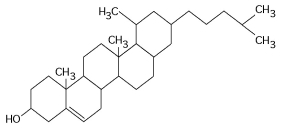    Figure 5.4 -What is the structure shown in Figure 5.4? A)  pentose molecule B)  fatty acid molecule C)  steroid molecule D)  oligosaccharide molecule E)  phospholipid molecule 