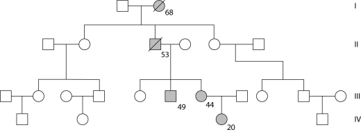 Use the following pedigree (Figure 14.3)  for a family in which dark-shaded symbols represent individuals with one of the two major types of colon cancer. Numbers under the symbols are the individual's age at the time of diagnosis.     Figure 14.3 -The affected woman in generation IV is thinking about her future and asks her oncologist (cancer specialist) whether she can know whether any or all of her children will have a high risk of the same cancer. The doctor would be expected to advise which of the following? I.genetic counseling II.prenatal diagnosis when/if she becomes pregnant III.testing to see whether she has the allele IV.testing to see whether her future spouse or partner has the allele A)  I only B)  II only C)  I and II only D)  I, II, and III only E)  III and IV only 