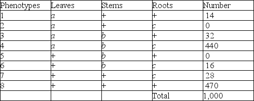 Use the following information to answer the questions below. A plantlike organism on the planet Pandora can have three recessive genetic traits: bluish leaves, due to an allele (a)  of gene A; a feathered stem, due to an allele (b)  of gene B; and hollow roots due to an allele (c)  of gene C. The three genes are linked and recombine as follows: A geneticist did a testcross with an organism that had been found to be heterozygous for the three recessive traits and she was able to identify progeny of the following phenotypic distribution (+ = wild type) :    -Which of the following are the phenotypes of the parents in this cross? A)  2 and 5 B)  1 and 6 C)  4 and 8 D)  3 and 7 E)  1 and 2 