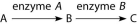 The following question refers to this figure of a simple metabolic pathway:    -If A, B, and C are all required for growth, a strain that is mutant for the gene-encoding enzyme A would be able to grow on which of the following media? A)  minimal medium B)  minimal medium supplemented with nutrient A only C)  minimal medium supplemented with nutrient B only D)  minimal medium supplemented with nutrient C only E)  minimal medium supplemented with nutrients A and C 