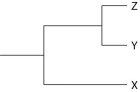 <strong>The following questions refer to Figure 22.1, which shows an outcrop of sedimentary rock whose strata are labeled A-D. Figure 22.1 Currently, two extant elephant species (X and Y)are placed in the genus Loxodonta and a third species (Z)is placed in the genus Elephas. Assuming this classification reflects evolutionary relatedness, which of the following is the most accurate phylogenetic tree?</strong> A) B) C) D) E)