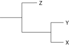 <strong>The following questions refer to Figure 22.1, which shows an outcrop of sedimentary rock whose strata are labeled A-D. Figure 22.1 Currently, two extant elephant species (X and Y)are placed in the genus Loxodonta and a third species (Z)is placed in the genus Elephas. Assuming this classification reflects evolutionary relatedness, which of the following is the most accurate phylogenetic tree?</strong> A) B) C) D) E)