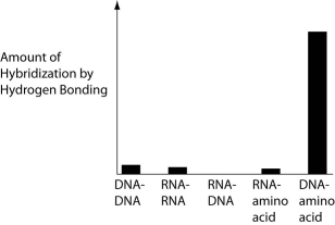 Several scientific laboratories across the globe are involved in research concerning the origin of life on Earth. Which graph below, if the results were produced abiotically, would have the greatest promise for revealing important information about the origin of Earth's first genetic system? A)    B)    C)    D)    