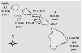    Figure 25.3 -Upon being formed, oceanic islands, such as the Hawaiian Islands, should feature what characteristic, leading to which phenomenon? A)  mass extinctions, leading to bottleneck effect B)  major evolutionary innovations, leading to rafting to nearby continents C)  a variety of empty ecological niches, leading to adaptive radiation D)  adaptive radiation, leading to founder effect E)  overcrowding, leading to rafting to nearby lands 