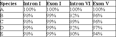 The next questions refer to the following table, which compares the % sequence homology of four different parts (two introns and two exons)  of a gene that is found in five different eukaryotic species. Each part is numbered to indicate its distance from the promoter (e.g., Intron I is the one closest to the promoter) . The data reported for species A were obtained by comparing DNA from one member of species A to another member of species A. % Sequence Homology    -Regarding these sequence homology data, the principle of maximum parsimony would be applicable in A)  distinguishing introns from exons. B)  determining degree of sequence homology. C)  selecting appropriate genes for comparison among species. D)  inferring evolutionary relatedness from the number of sequence differences. 