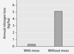 The next question is based on the following description and Figure 29.1, which is the same as Figure 29.10 in the textbook. Art Questions Researchers tested nitrogen loss from soil where the moss Polytrichum was growing, and compared it to soil from which Polytrichum had been removed. The data are presented below.     Figure 29.1 -Loss of soil nitrogen via  gaseous emission  was found to be negligible. Rather, most loss of soil nitrogen was due to water erosion of the soil. Which of these hypotheses is least likely to account for the observed results? A)  If rhizoids had helped stabilize the soil, then less erosion and less loss of nitrogen would occur. B)  If protonemata had absorbed, and stored, nitrogen from the soil, then they would have reduced loss of nitrogen by erosion. C)  If the overlying mat of gametophores had slowed the entry of water into the soil, then it would have reduced water's ability to erode the soil and carry away its nitrogen. D)  If sporophyte stomata had absorbed nitrogen from the soil, then they would have reduced loss of nitrogen by erosion. 