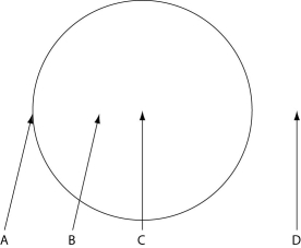 The following figure depicts the outline of a large fairy ring that has appeared overnight in an open meadow, as viewed from above. The fairy ring represents the furthest advance of this mycelium through the soil. Locations A-D are all 0.5 meters below the soil surface. Responses may be used once, more than once, or not at all.    -Which location is nearest to basidiocarps? A)  A B)  B C)  C D)  D 