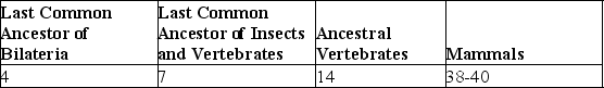 Table 32.1. Proposed Number of Hox Genes in Various Extant and Extinct Animals    -What conclusion is apparent from the data in the table? A)  Land animals have more Hox genes than do those that live in water. B)  All bilaterian phyla have had the same degree of expansion in their numbers of Hox genes. C)  Acoel flatworms should be expected to contain seven Hox genes. D)  The expansion in number of Hox genes throughout vertebrate evolution cannot be explained merely by three duplications of the ancestral vertebrate Hox cluster. E)  Extant insects all have seven Hox genes. 