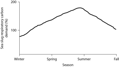    Percent of sea slug respiratory carbon demand provided by indwelling dinoflagellates. -According to the graph, during which season(s) of the year is the relationship between the sea slug and its dinoflagellates closest to being commensal? A)  winter B)  spring C)  summer D)  fall E)  spring and fall 