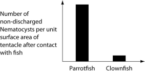 The clownfish readily swims among the tentacles of the sea anemones; the parrotfish avoids them. One hypothesis for the clownfish's apparent immunity is that they slowly build a tolerance to the sea anemone's toxin. A second hypothesis is that a chemical in the mucus that coats the clownfish prevents the nematocysts from being triggered. Which of the following graphs supports the second, but not the first, of these hypotheses? A)   B)   C)   D)   