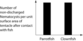 The clownfish readily swims among the tentacles of the sea anemones; the parrotfish avoids them. One hypothesis for the clownfish's apparent immunity is that they slowly build a tolerance to the sea anemone's toxin. A second hypothesis is that a chemical in the mucus that coats the clownfish prevents the nematocysts from being triggered. Which of the following graphs supports the second, but not the first, of these hypotheses? A)   B)   C)   D)   
