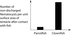 The clownfish readily swims among the tentacles of the sea anemones; the parrotfish avoids them. One hypothesis for the clownfish's apparent immunity is that they slowly build a tolerance to the sea anemone's toxin. A second hypothesis is that a chemical in the mucus that coats the clownfish prevents the nematocysts from being triggered. Which of the following graphs supports the second, but not the first, of these hypotheses? A)   B)   C)   D)   
