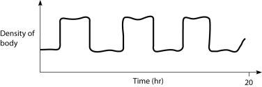 At 5, 10, and 15 hours in the graph below, which of the following statements should be true?   A)  This fish is in the process of adding gas to its swim bladder. B)  This fish is in the process of removing gas from its swim bladder. C)  This fish has a swim bladder that is relatively full of gas. D)  This fish has a swim bladder that contains relatively little gas. 