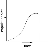 Which of the following graphs illustrates the population growth curve of single bacterium growing in a flask of ideal medium at optimum temperature over a 24-hour period? A)    B)    C)    D)    E)    