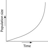 Which of the following graphs illustrates the population growth curve of single bacterium growing in a flask of ideal medium at optimum temperature over a 24-hour period? A)    B)    C)    D)    E)    